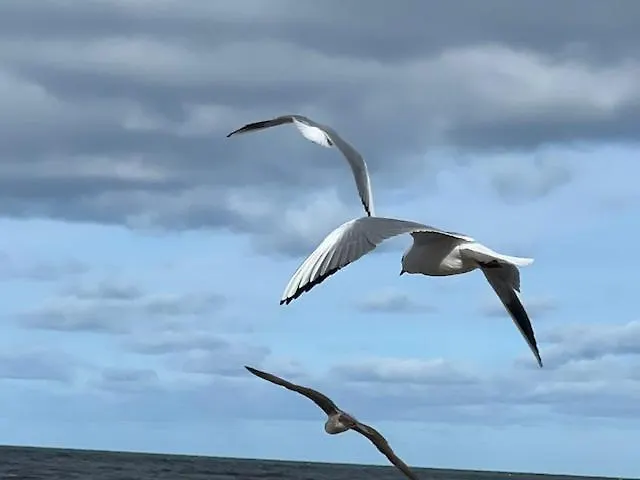 Appartement Przy Plazy, Widok Na Morze I Latarnie, Morska 5 *