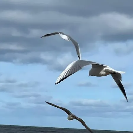 Apartamento Przy Plazy, Widok Na Morze I Latarnie, Morska 5 *